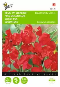 Lathyrus, Reuk- of siererwt Royal Family gemengd Buzzy Seeds - afbeelding 1