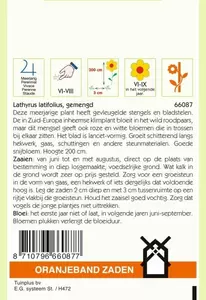 Lathyrus, Reuk- of Siererwt gemengd, overblijvend Oranjeband - afbeelding 2