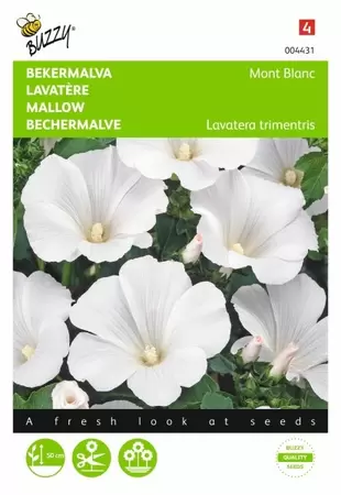Lavatera, Bekermalva Roze/Rood Buzzy Seeds - afbeelding 1