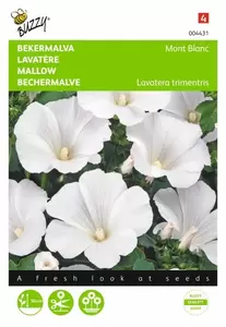 Lavatera, Bekermalva Roze/Rood Buzzy Seeds - afbeelding 1