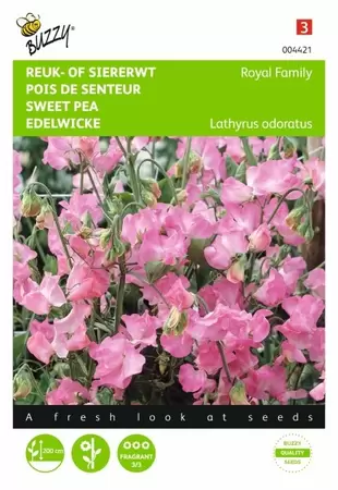 Lathyrus, Reuk- of siererwt Royal Family Scarlet Buzzy Seeds - afbeelding 1