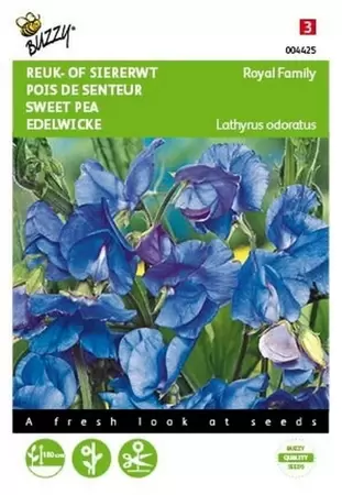 Lathyrus, Reuk- of siererwt Royal Family Wit Buzzy Seeds - afbeelding 1