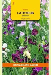 Lathyrus, Reuk- of siererwt Royal gemengd Oranjeband - afbeelding 1