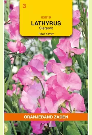 Lathyrus, Reuk- of siererwt Royal, roze Oranjeband - afbeelding 1