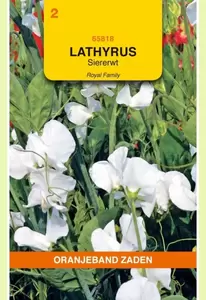 Lathyrus, Reuk- of siererwt Royal, wit Oranjeband - afbeelding 1
