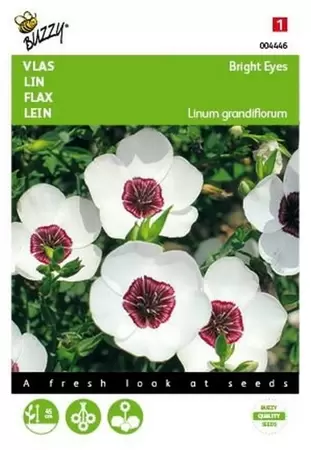 Linum, roodbloeiende Vlas Buzzy Seeds - afbeelding 1