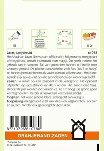 Lavas (maggiplant) Oranjeband - afbeelding 2