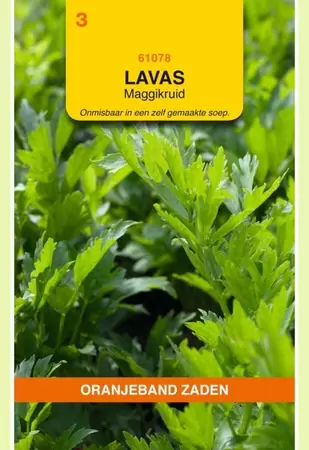 Lavas (maggiplant) Oranjeband - afbeelding 1