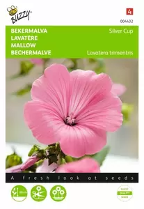 Lavatera, Bekermalva Mont Blanc Buzzy Seeds - afbeelding 1