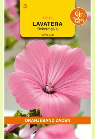 Lavatera, Bekermalva Silver Cup Oranjeband - afbeelding 1