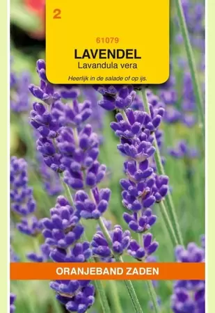 Lavendel Oranjeband - afbeelding 1