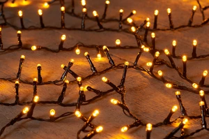 LED CLASSIC IVY 500L / 12M