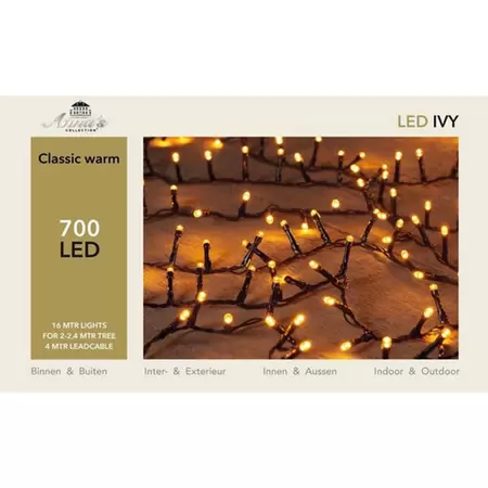 LED Ivy
