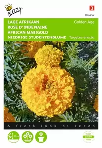 Tagetes, hoge Afrikaan Hawaii oranje Buzzy Seeds - afbeelding 1