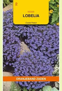 Lobelia Crystal Palace Oranjeband - afbeelding 1