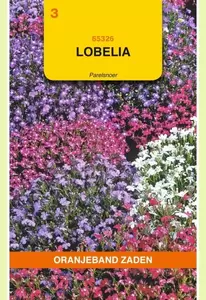 Lobelia Parelsnoer gemengd Oranjeband - afbeelding 1