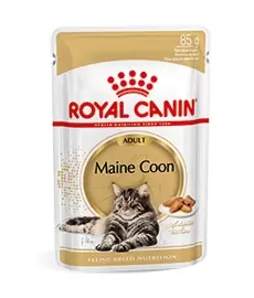 Maine Coon Adult Wet 12x85gr