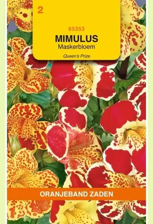 Mimulus, Maskerbloem Queen's Prize Oranjeband - afbeelding 1