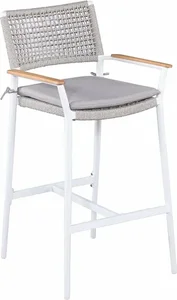 Moleto barstoel ash grey