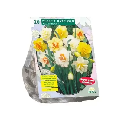 Narcis Dubbel Mix per 20