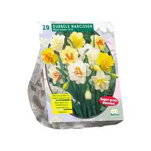Narcis Dubbel Mix per 20