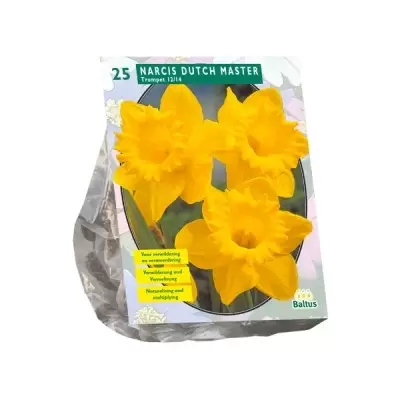 Narcis Trompet; Geel per 25