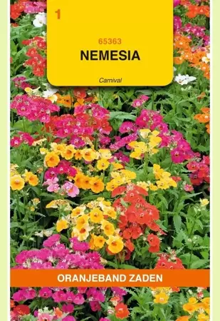 Nemesia Carnival gemengd Oranjeband - afbeelding 1