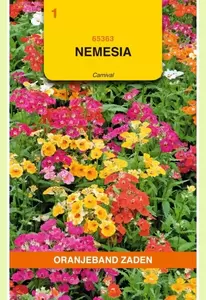 Nemesia Carnival gemengd Oranjeband - afbeelding 1