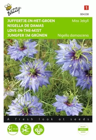 Nigella, Juffertje-in-het-groen Persian Jewels gem. Buzzy Seeds - afbeelding 1