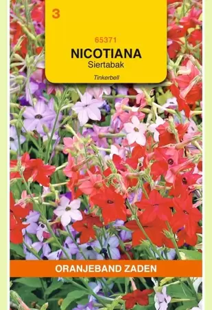 Nicotiana, Siertabak Tinkerbell gemengd Oranjeband - afbeelding 1