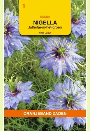 Nigella, Juffertje-in-het-groen Miss Jekyll Oranjeband - afbeelding 1