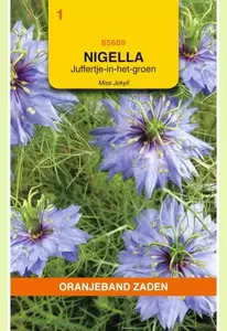 Nigella, Juffertje-in-het-groen Miss Jekyll Oranjeband - afbeelding 1