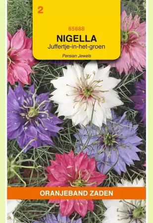 Nigella, Juffertje-in-het-groen Persian Jewels gemengd Oranjeband - afbeelding 1