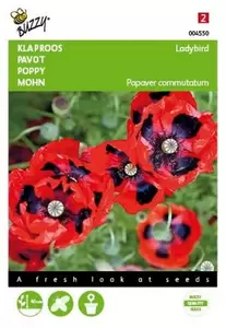 Papaver, Klaproos Shirley dubbelbloemig gemengd Buzzy Seeds - afbeelding 1