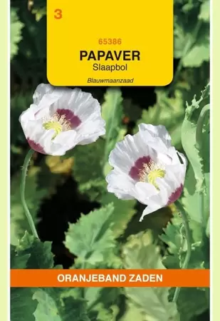 Papaver, Slaapbol Blauwmaanzaad Oranjeband - afbeelding 1