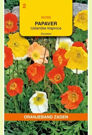 Papaver, IJslandse Klaproos gemengd Oranjeband - afbeelding 1