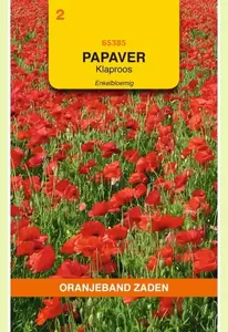 Papaver, Klaproos enkelbloemig (gewone) Oranjeband - afbeelding 1