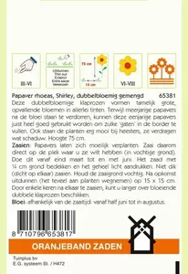Papaver, Klaproos Shirley Oranjeband - afbeelding 2