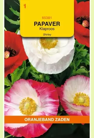 Papaver, Klaproos Shirley Oranjeband - afbeelding 1