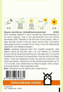 Papaver, Slaapbol dubbelbloemig gemengd Oranjeband - afbeelding 2