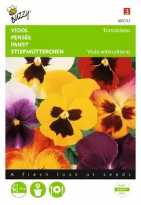 Papaver, IJslandse Excelsior gemengd Buzzy Seeds - afbeelding 1