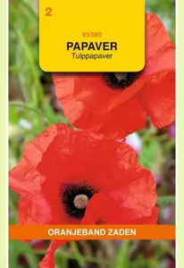 Papaver, Tulppapaver Oranjeband - afbeelding 1