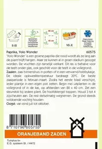 Paprika Yolo Wonder Oranjeband - afbeelding 2