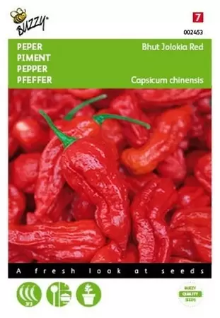 Spaanse Peper Cayenne long slim Buzzy Seeds - afbeelding 1