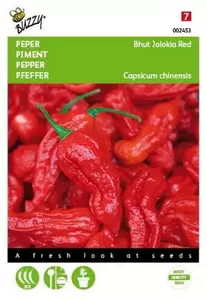 Spaanse Peper Cayenne long slim Buzzy Seeds - afbeelding 1