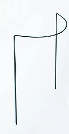 Peacock Plantensteun 1/2 rond h100d40cm