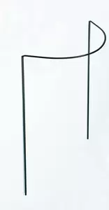 Peacock Plantensteun 1/2 rond h70d40cm