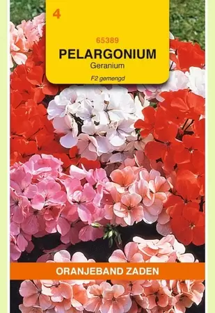 Pelargonium, Geranium F2 gemengd Oranjeband - afbeelding 1