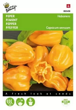 Peper Biquinho Buzzy Seeds - afbeelding 1