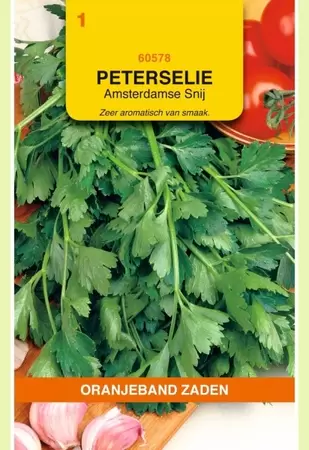 Peterselie Amsterdamse Snij Oranjeband - afbeelding 1